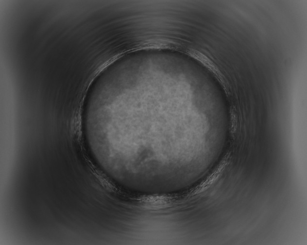 X0000095680834200801291155