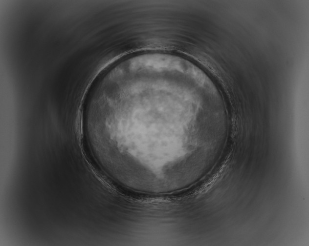 X0000095680838200801291155