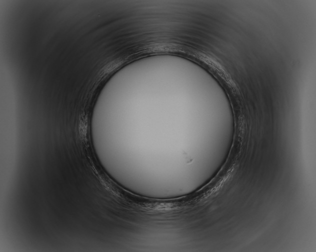 X0000095680841200801291155