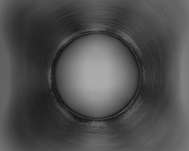 X0000095680842200801291155