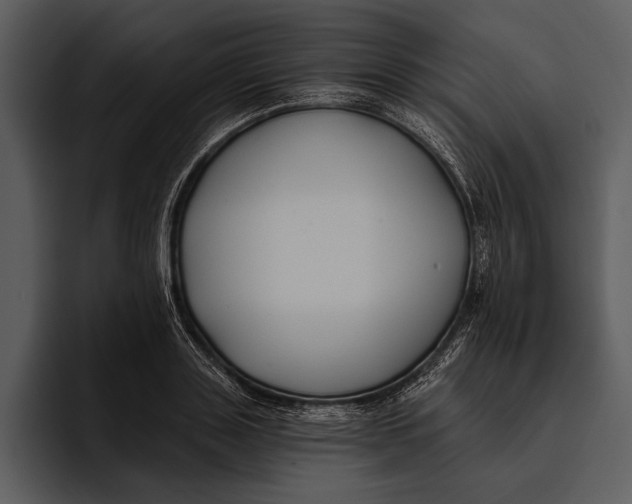 X0000095680843200801291155