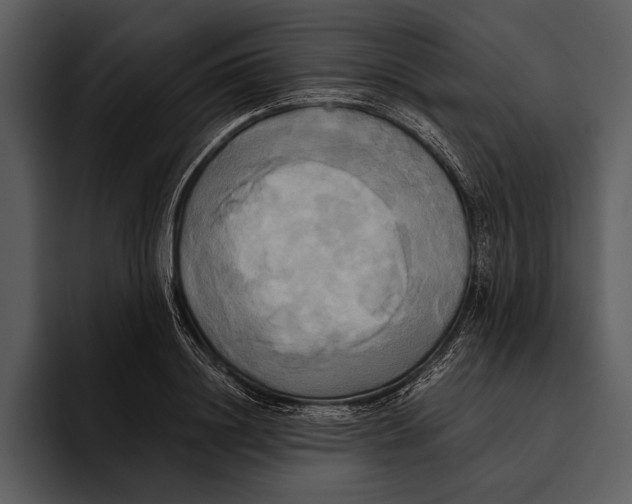 X0000095680844200801291155