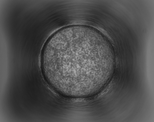 X0000095680846200801291155