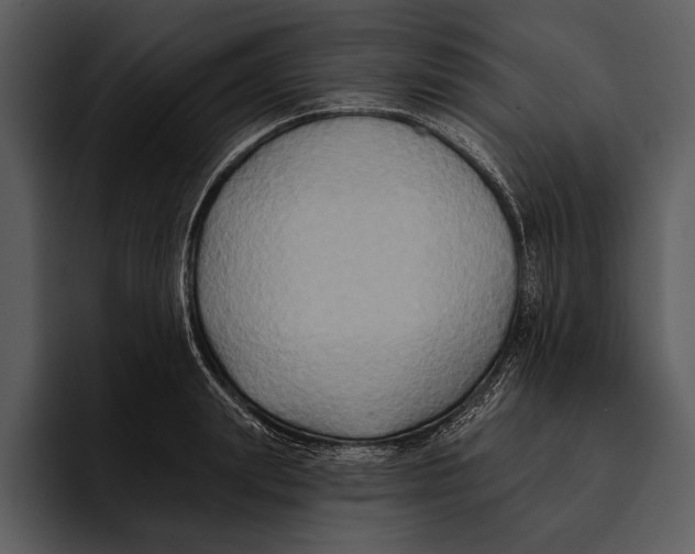 X0000095680847200801291155