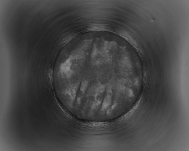 X0000095680849200801291155