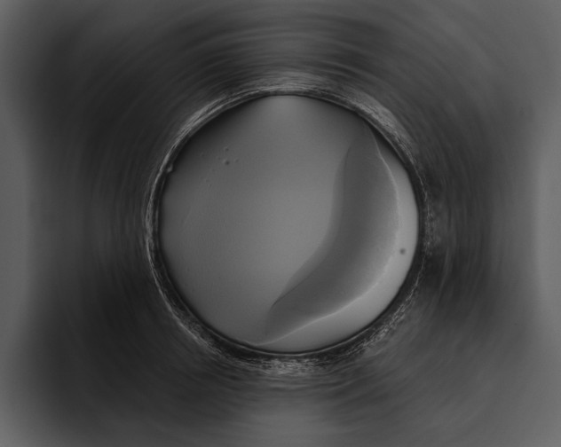 X0000095680850200801291155