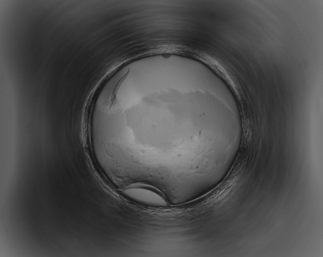 X0000095680851200801291155