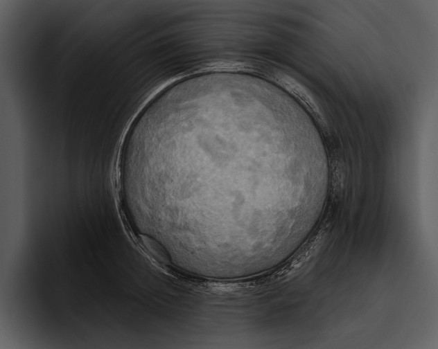 X0000095680852200801291155