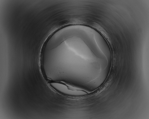 X0000095680853200801291155