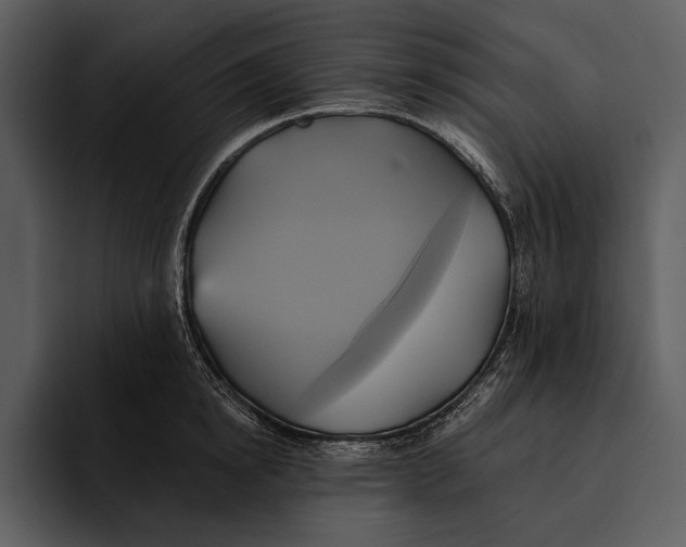 X0000095680854200801291155