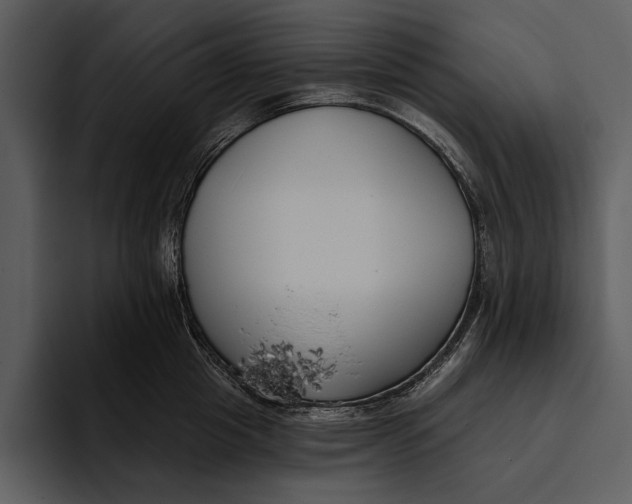 X0000095680857200801291155