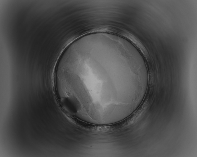 X0000095680858200801291155