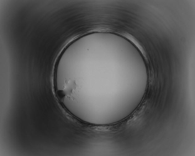 X0000095680861200801291155