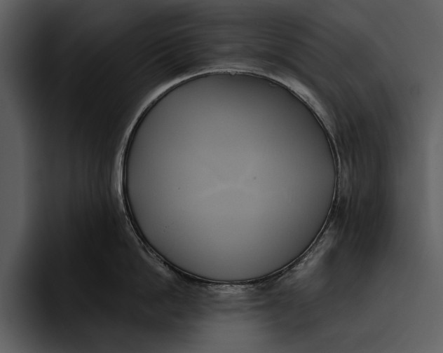 X0000095680862200801291155