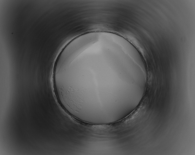 X0000095680863200801291155