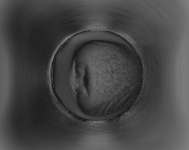 X0000095680864200801291155