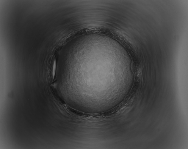 X0000095680868200801291155