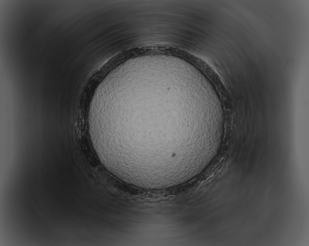 X0000095680871200801291155