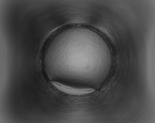 X0000095680872200801291155