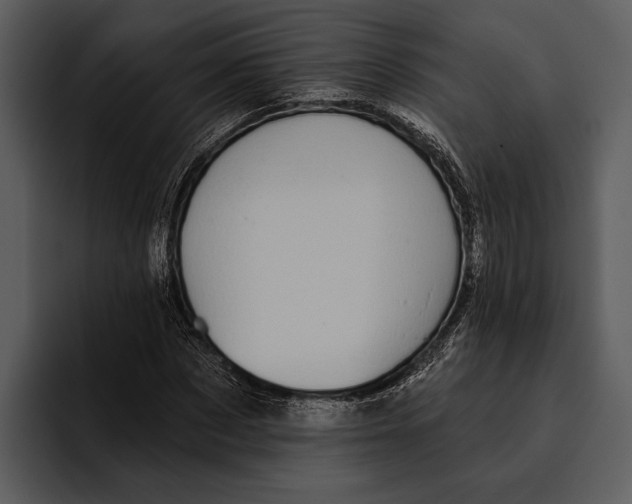 X0000095680873200801291155