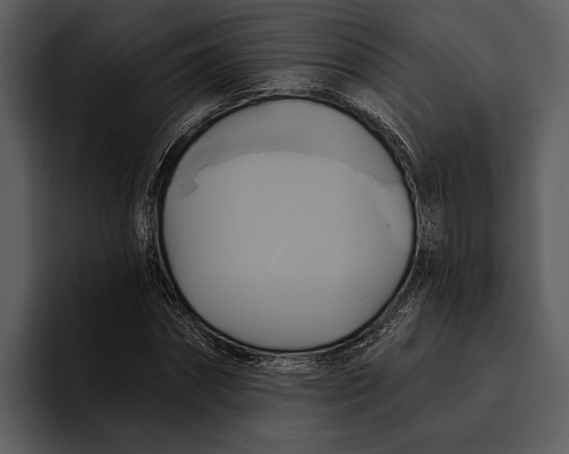 X0000095680874200801291155