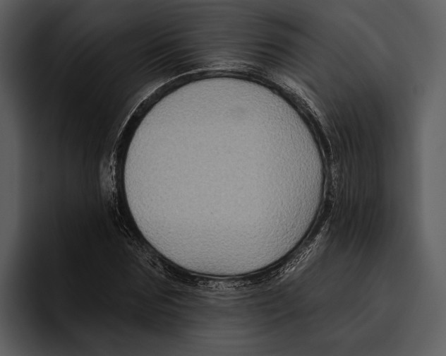 X0000095680875200801291155