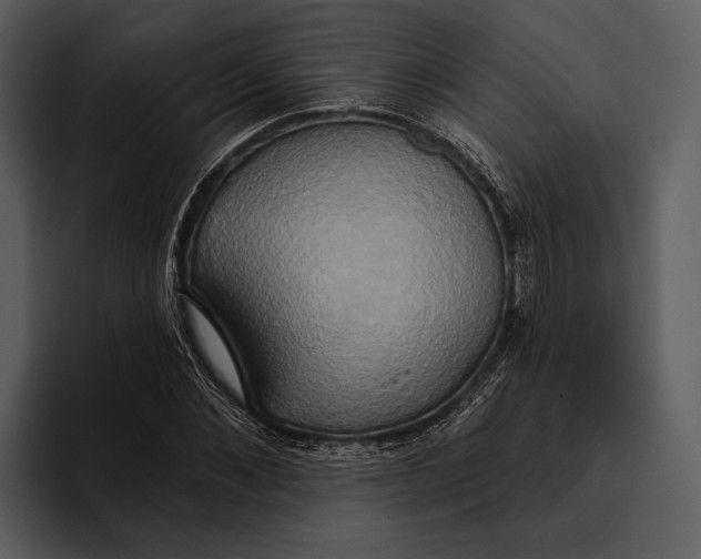 X0000095680876200801291155