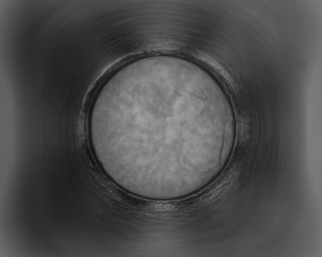 X0000095680878200801291155