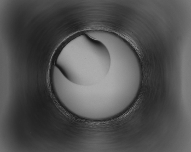 X0000095680880200801291155