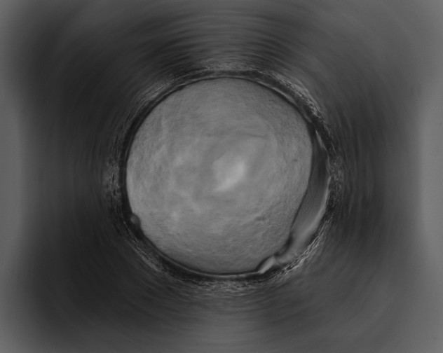 X0000095680881200801291155