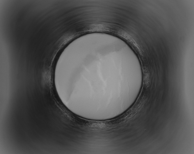 X0000095680882200801291155