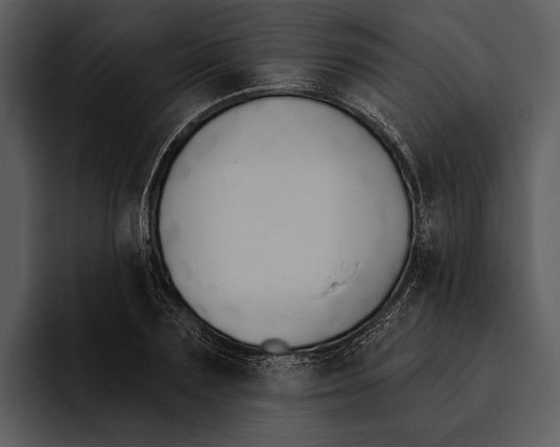 X0000095680883200801291155