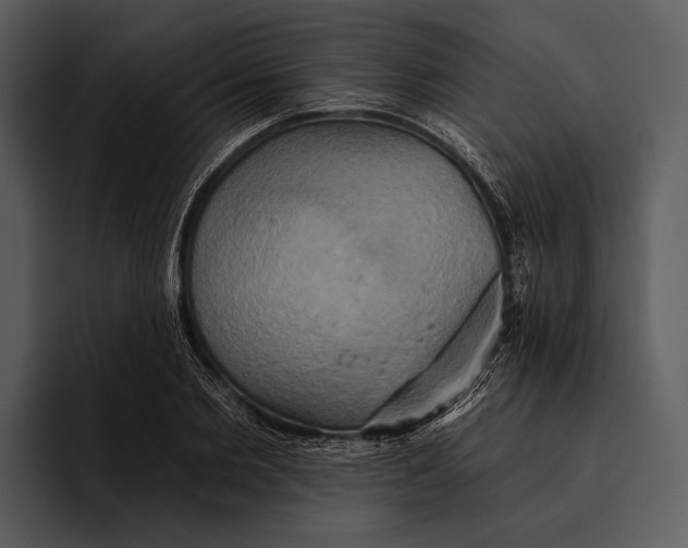 X0000095680885200801291154