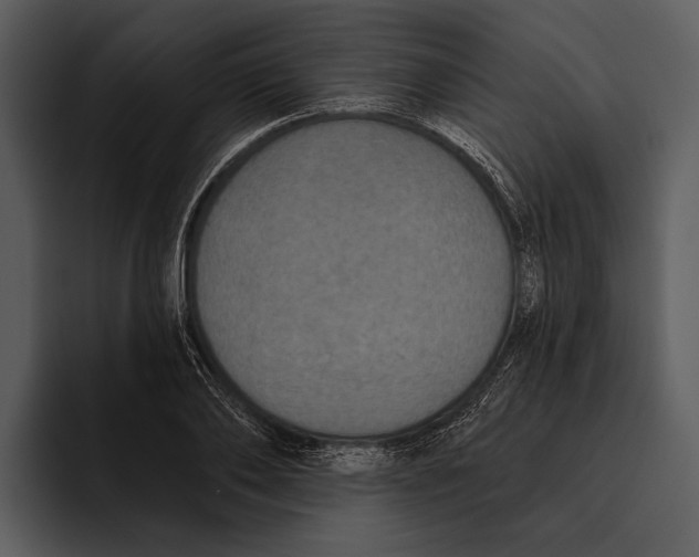 X0000095680886200801291154