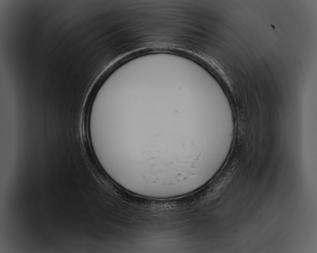 X0000095680887200801291154