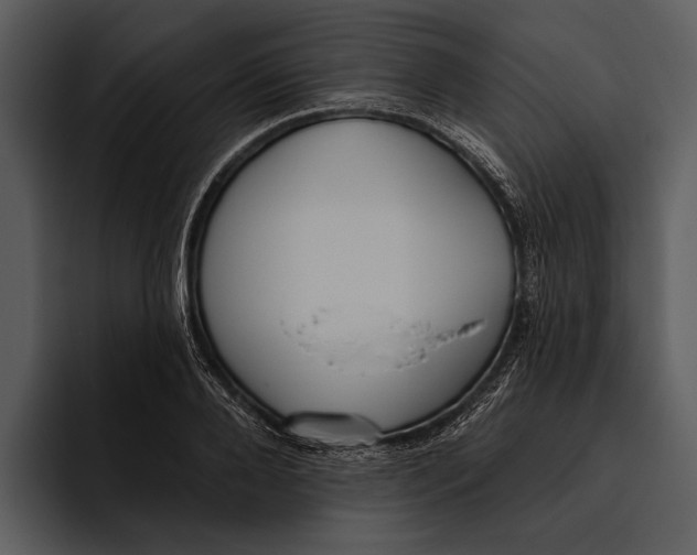 X0000095680888200801291154