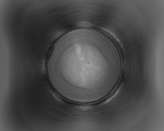 X0000095680889200801291154