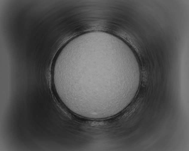 X0000095680890200801291154