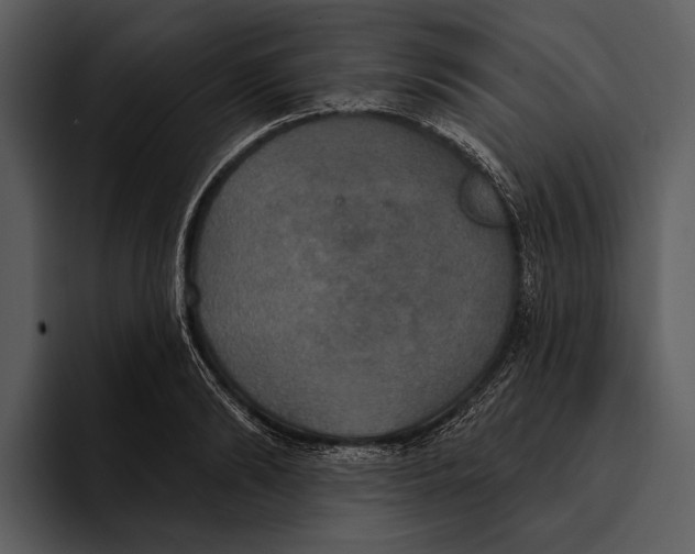 X0000095680894200801291154