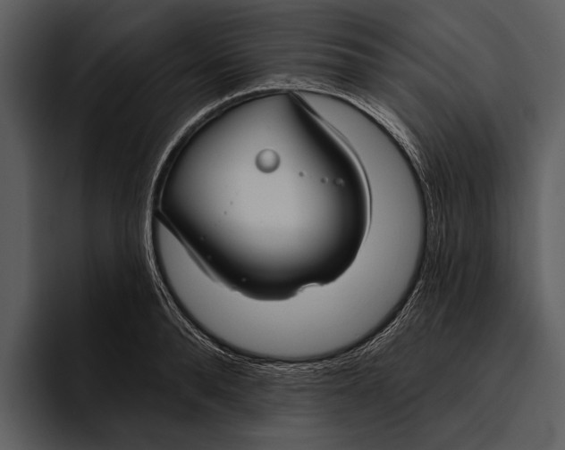 X0000095680896200801291154