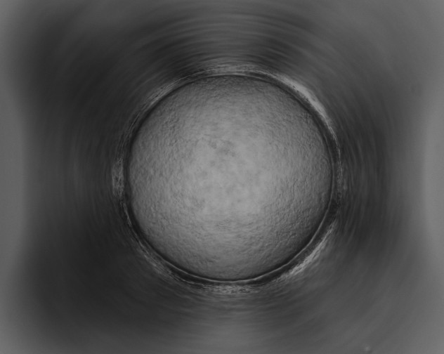 X0000095680897200801291154