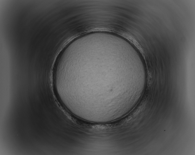 X0000095680898200801291154