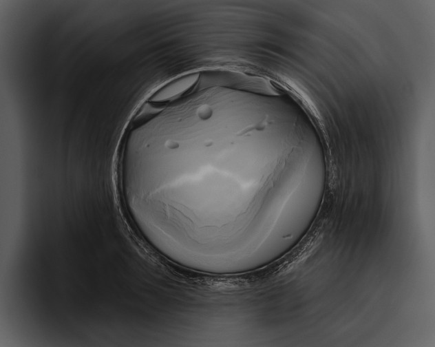 X0000095680899200801291154