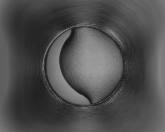 X0000095680900200801291154