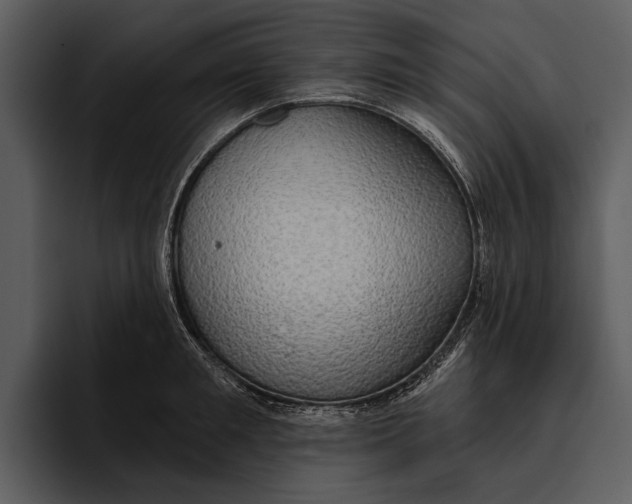 X0000095680901200801291154