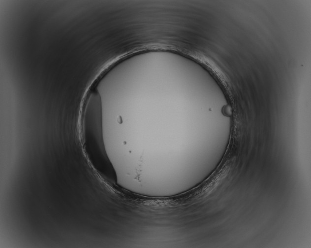 X0000095680902200801291154