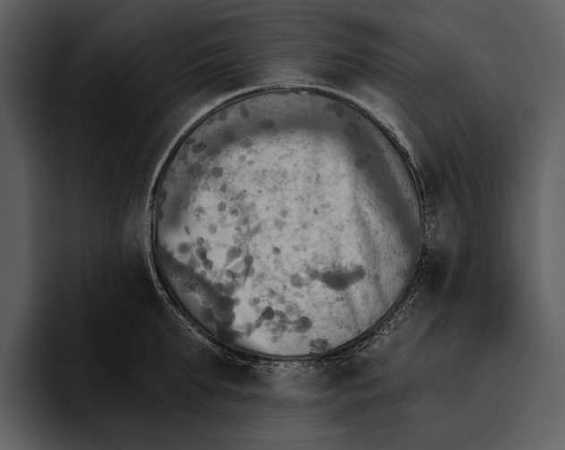 X0000095680903200801291154