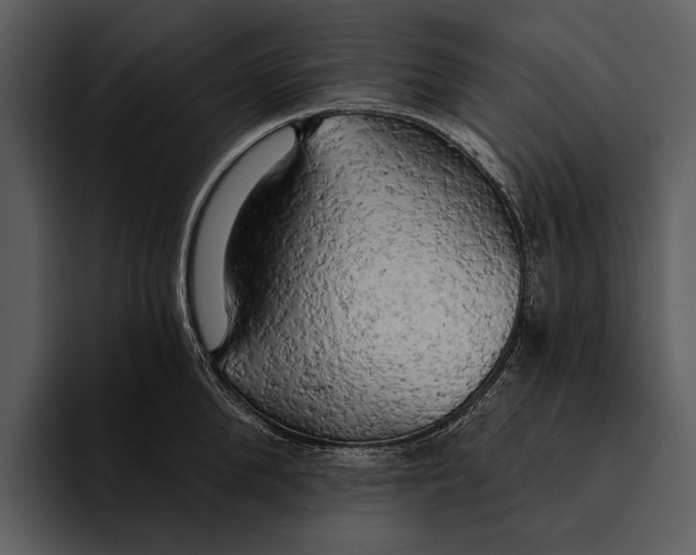 X0000095680904200801291154