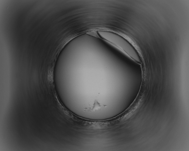 X0000095680905200801291154