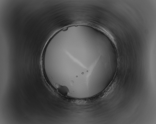 X0000095680907200801291154